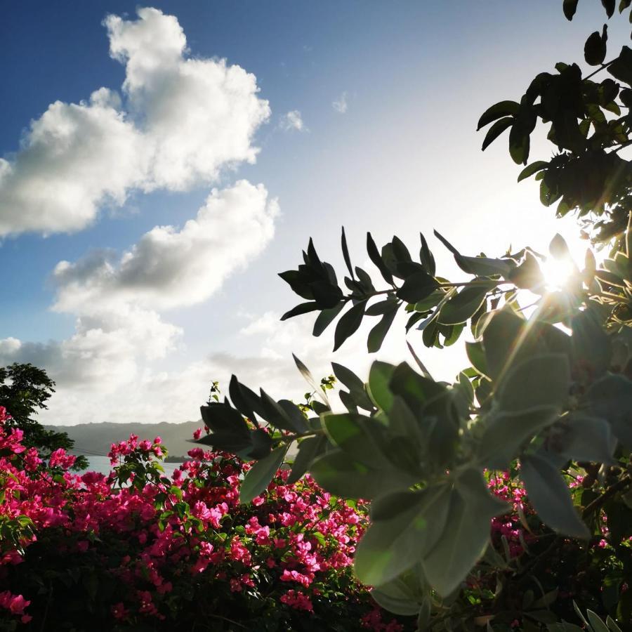 Vue Sur Mer A La Villa Parme Le Robert Extérieur photo